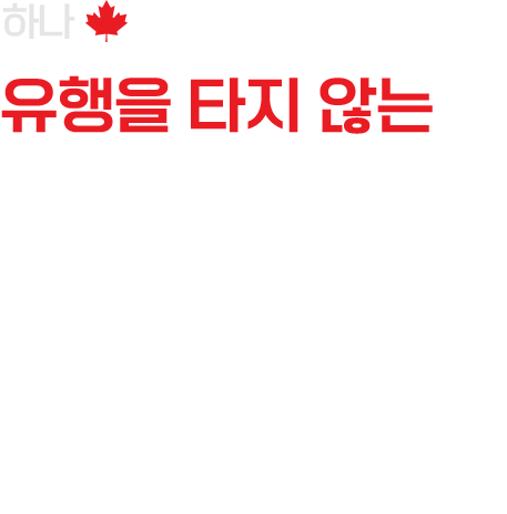 유행을 타지 않는 베이글 & 샌드위치